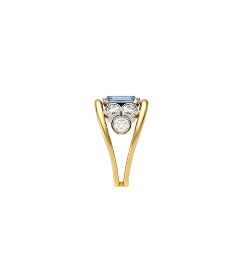 Charlotte Lattice Ring*