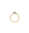14ct Yellow Gold--75% Coverage Lab Grown Diamonds (0.32ct)--Decide Ring Size Later, 14ct Yellow Gold--75% Coverage Lab Grown Diamonds (0.32ct)--Know The Ring Size, 18ct Yellow Gold--75% Coverage Lab Grown Diamonds (0.32ct)--Decide Ring Size Later, 18ct Yellow Gold--75% Coverage Lab Grown Diamonds (0.32ct)--Know The Ring Size,