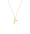 Lexis Letter Y Pendant