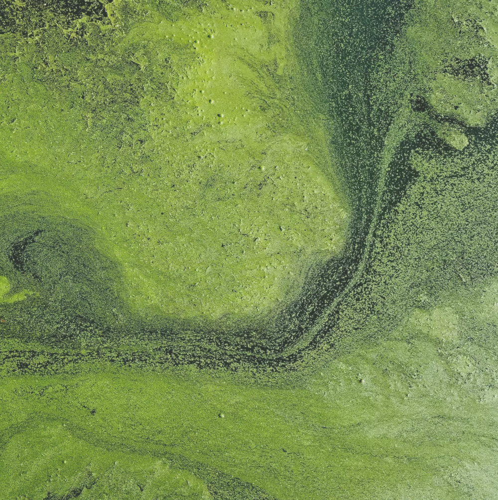 “Proof that one woman's trash can become the most precious treasure.”